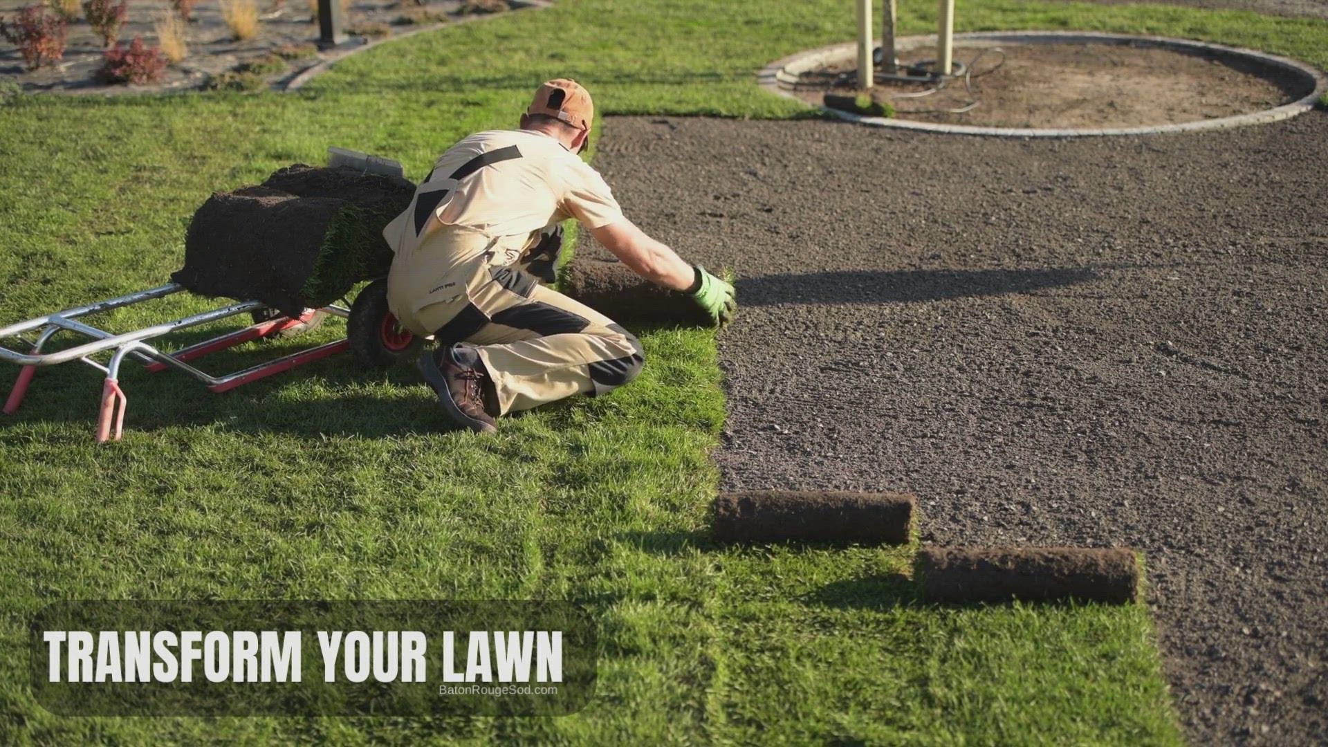 'Video thumbnail for New Lawn Grass Sod Installation & Care - Baton Rouge Sod '