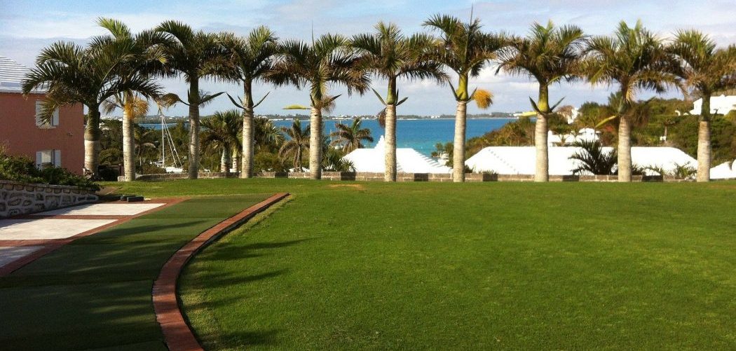 best lawn mower for Bermuda grass