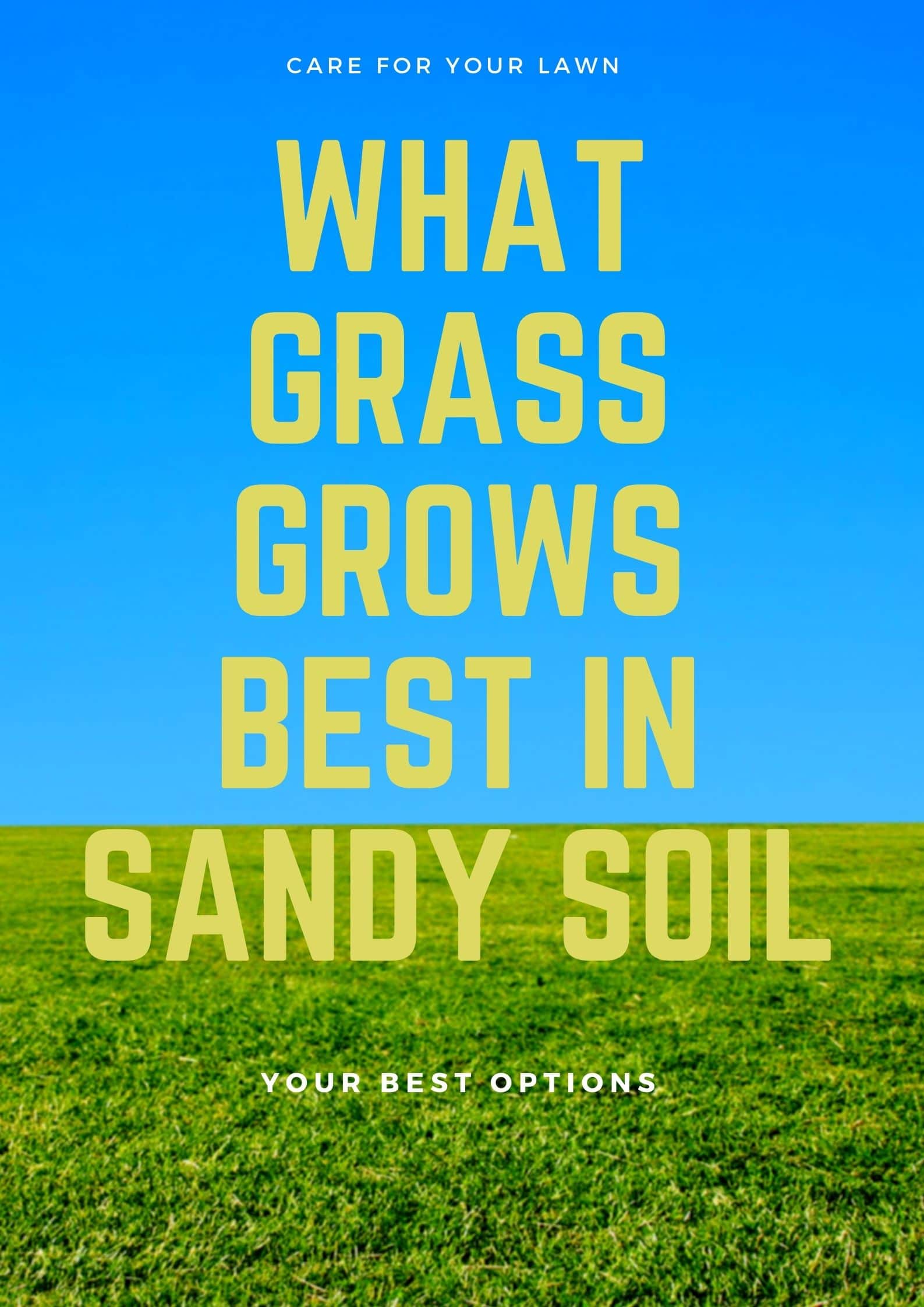 what grass grows best in sandy soil