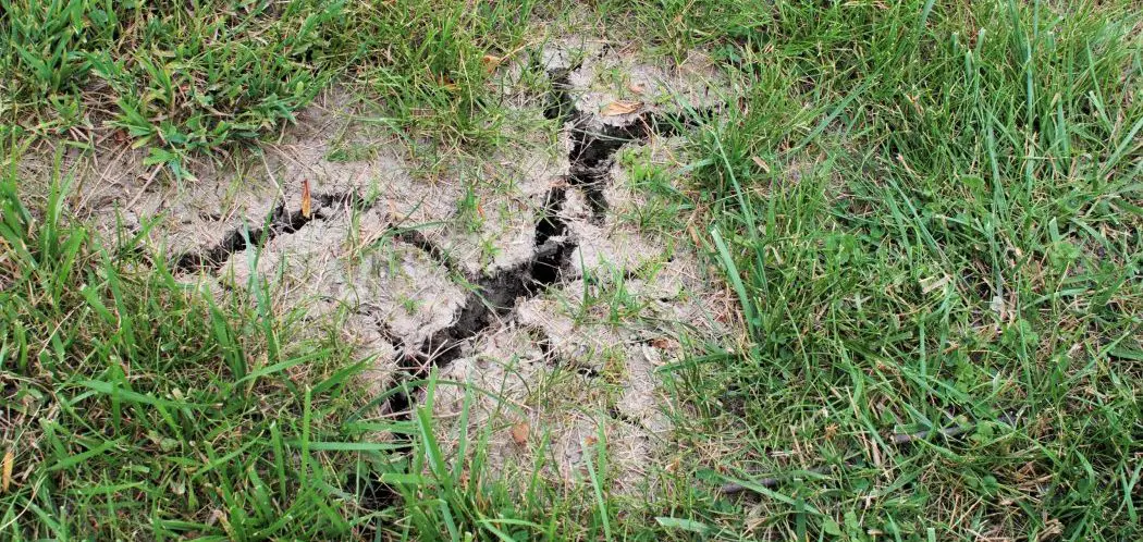 Why Your Lawn Is Cracking and How to Fix It