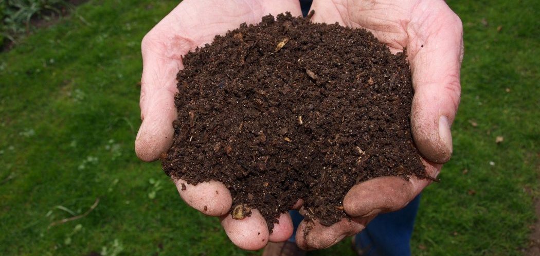 Can You Level a Lawn with Compost?