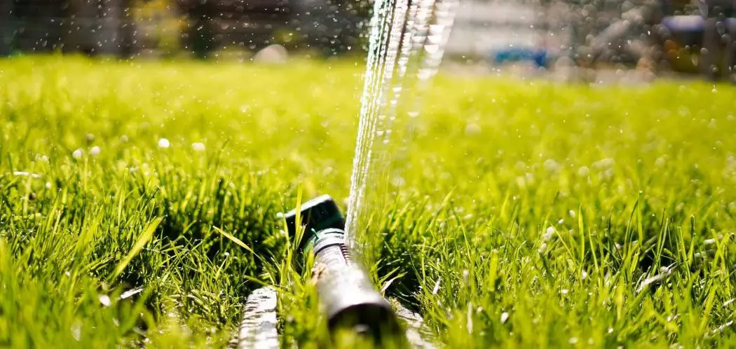 How Much Water Is Used When Watering the Lawn?