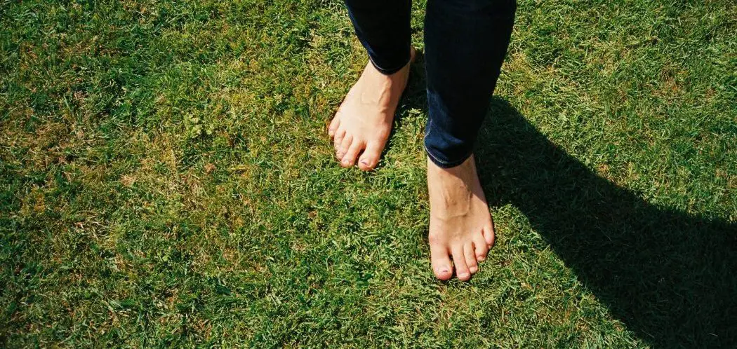 Can You Mow the Lawn Barefoot? | Is It Dangerous?