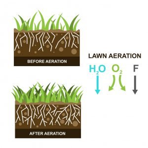 Lawn Aerator Types 101: A guide to the different styles