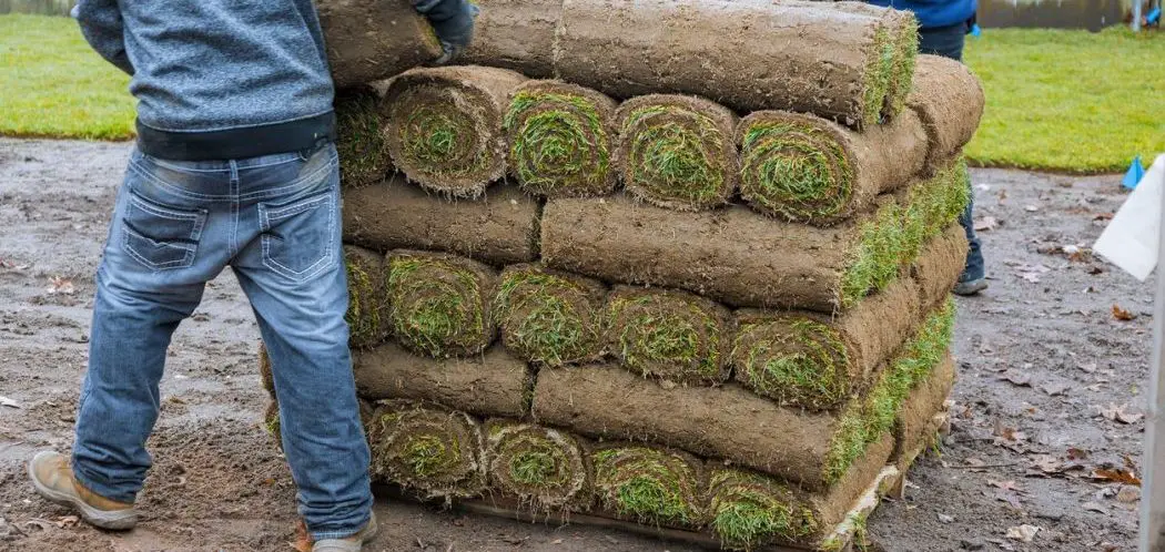 The Art of Laying Sod on Slopes: A Comprehensive Step-by-Step Guide