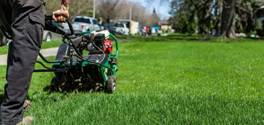 Should You Buy Or Rent A Lawn Aerator?