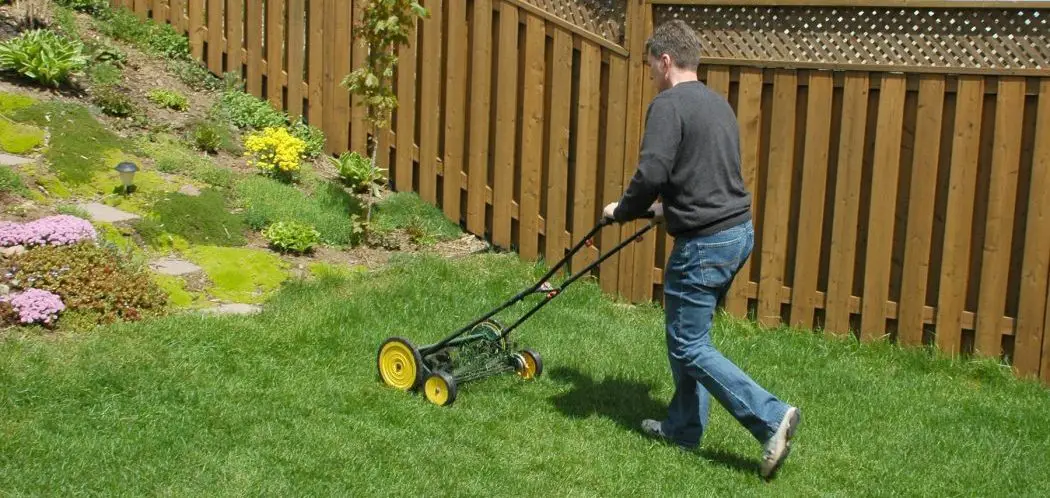How Does Using a Reel Mower Affect the Health of the Lawn?