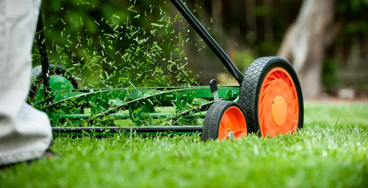 How Much Do Reel Mowers Weigh? A Deep Dive into Key Differences and Impacts