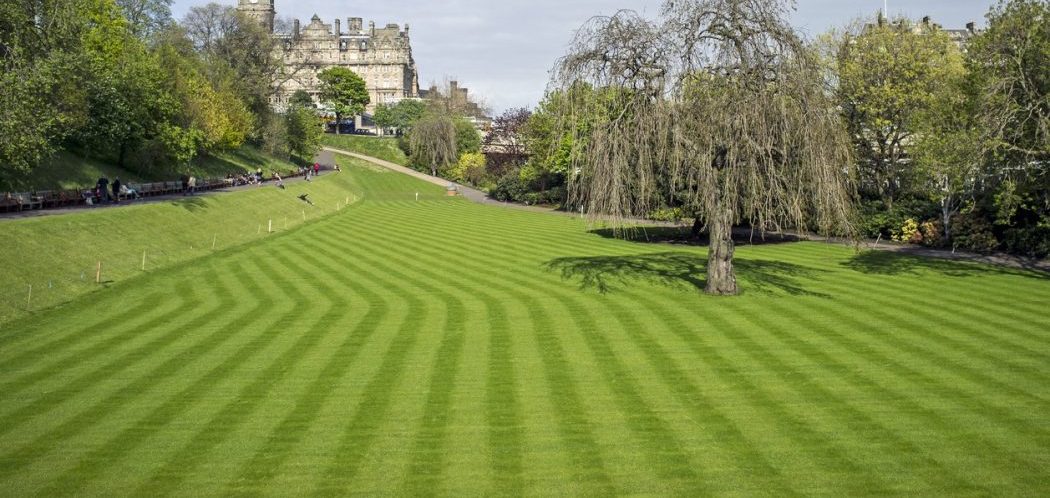 Lawn Striping Around Trees