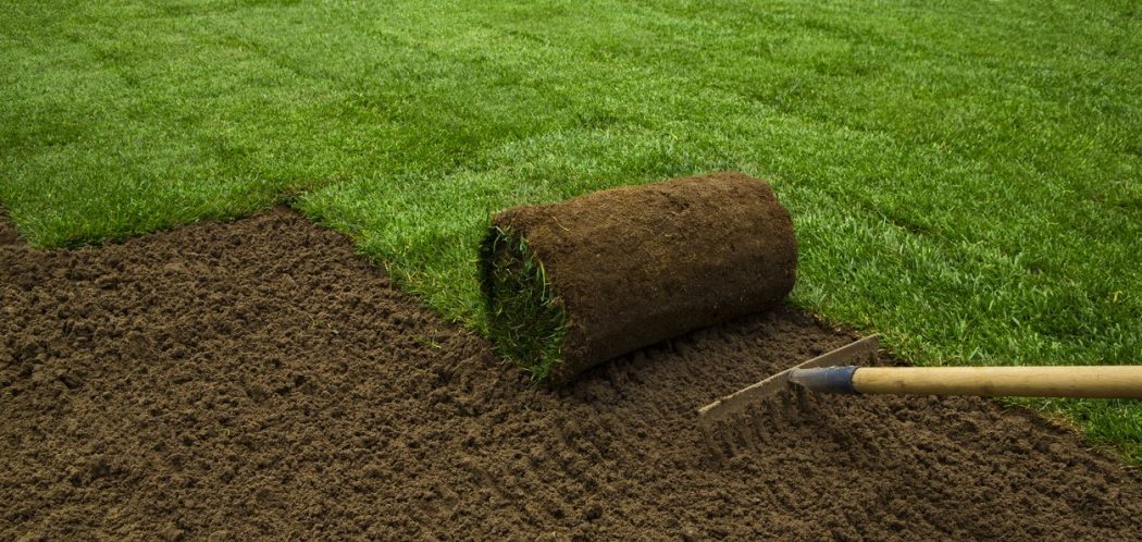 What’s the Ideal Temperature for Laying Sod?