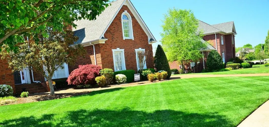 Why Your Grass Is Matted Down and What to Do About It
