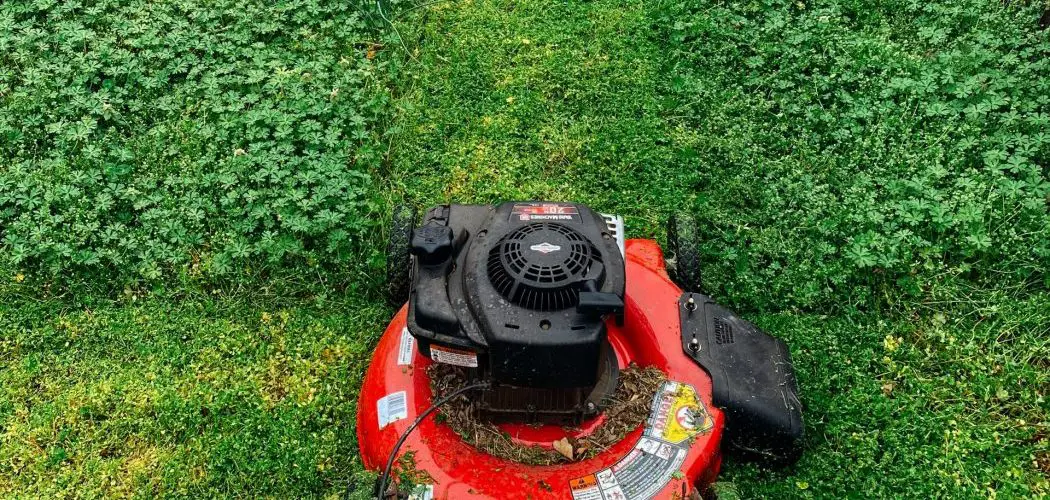 Does Mowing Grass Kill Weeds?