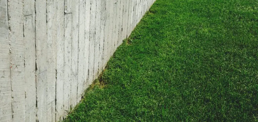 Why Does My Lawn Smell Bad?