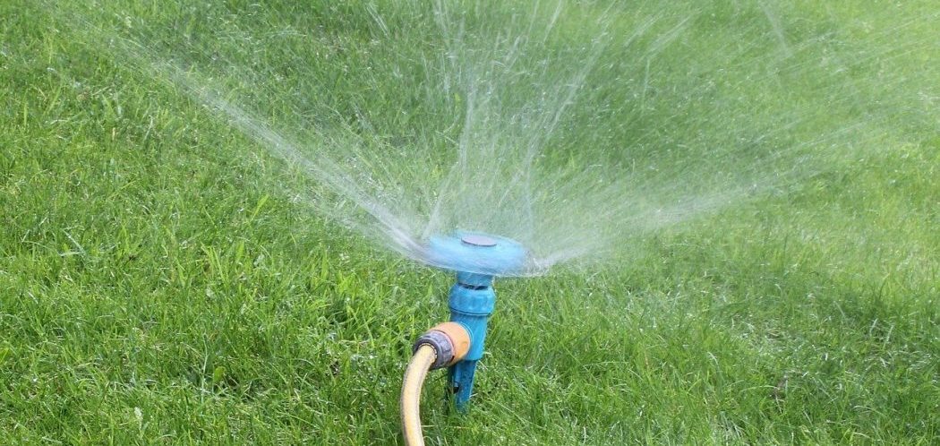 Recommended Sprinkler Run Times for Your Lawn