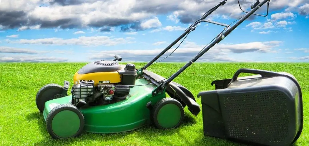 How to Cut Grass That Is Too Long