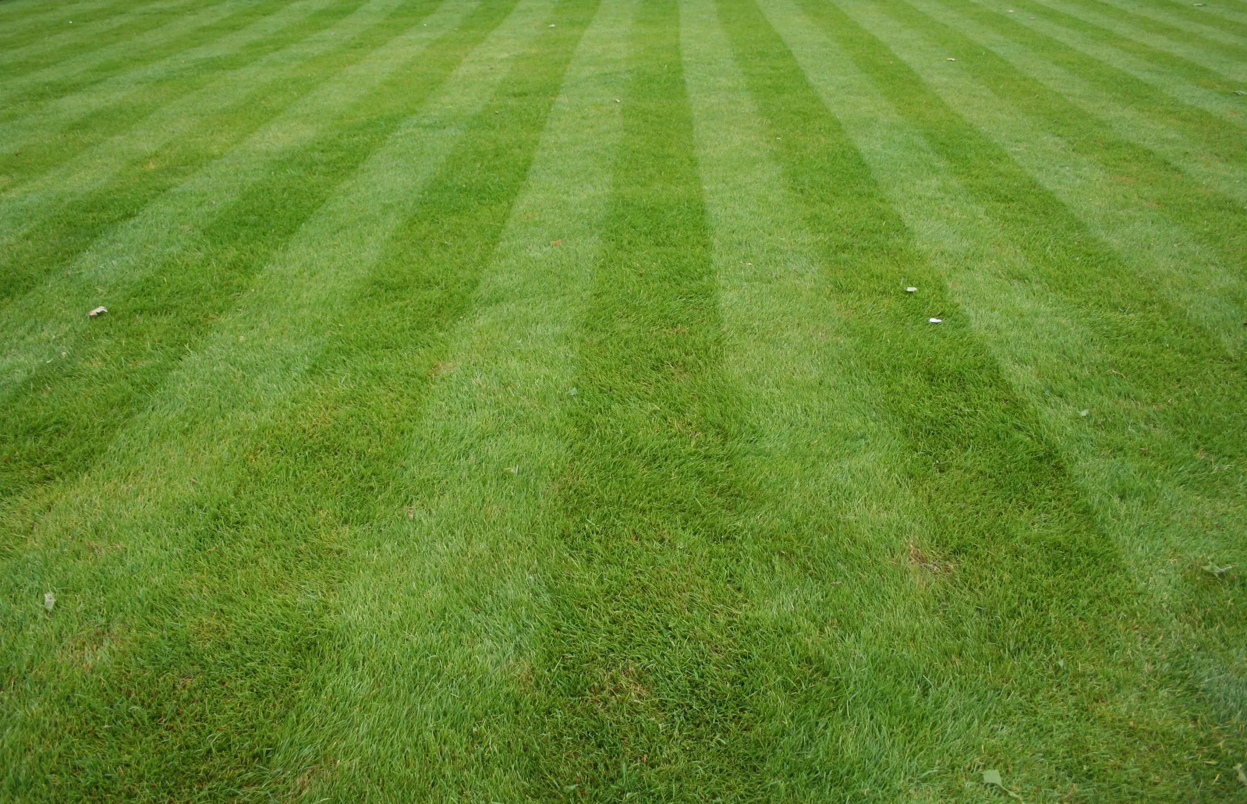 How Long Do Lawn Stripes Last?