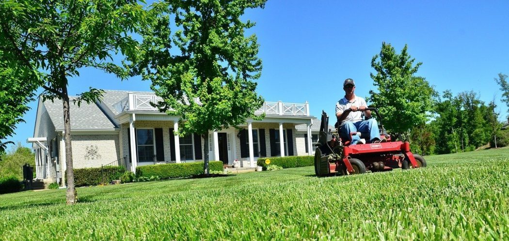 How Much Does a Zero Turn Lawn Mower Weigh?
