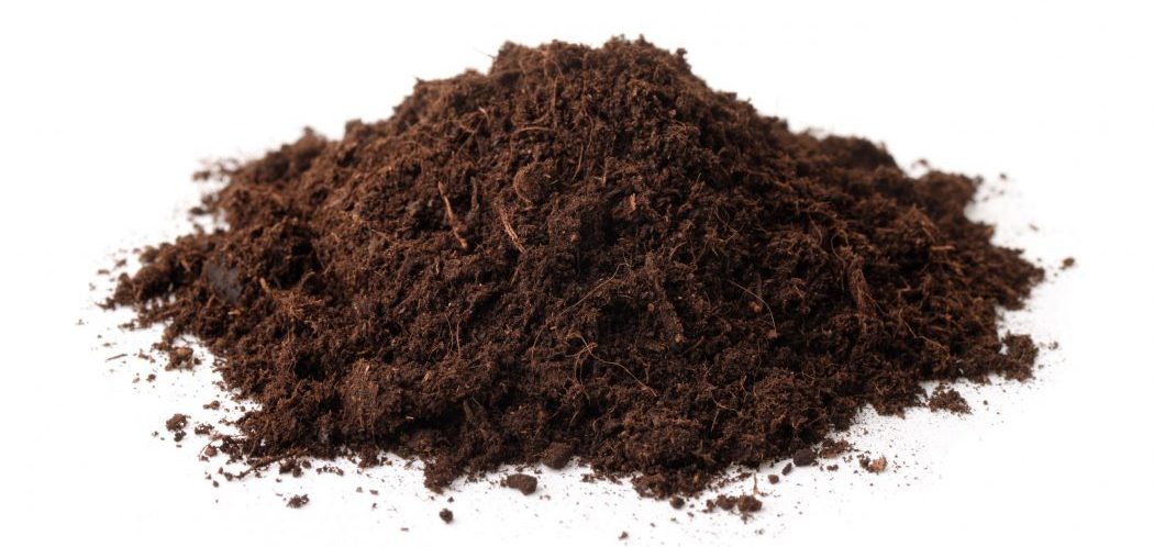 Peat Moss as a Topdressing | Should You Use It?