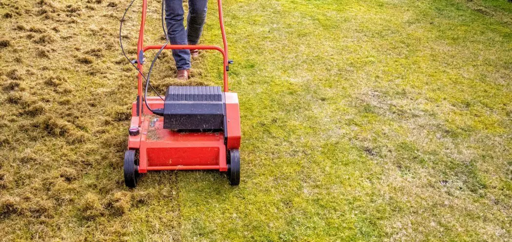 How to Power Rake Your Lawn