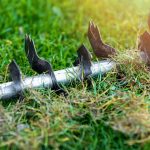Scarifying Blades 101- A Guide to the Different Types of Blades