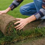 Renting vs Buying a Sod Cutter - Which is Best for DIY Sod Installation?